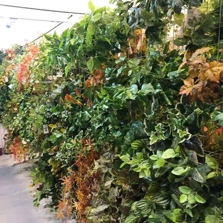 Umetna rastlina Ivy