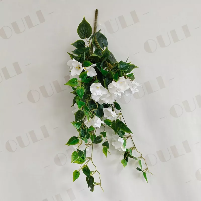 Lažni bougainvillea viseči cvetje