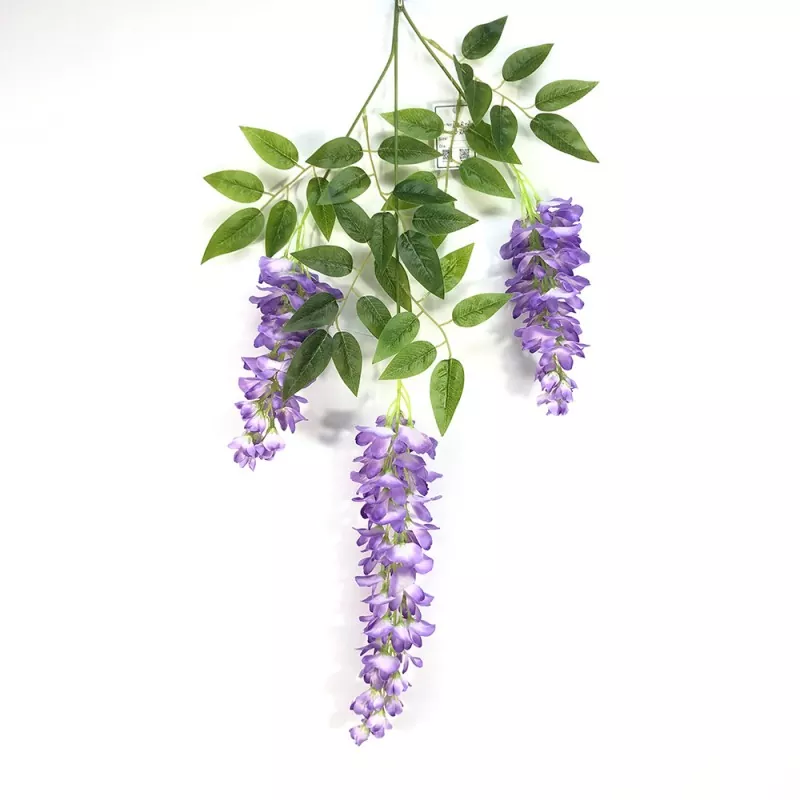Ponarejene veje Wisteria