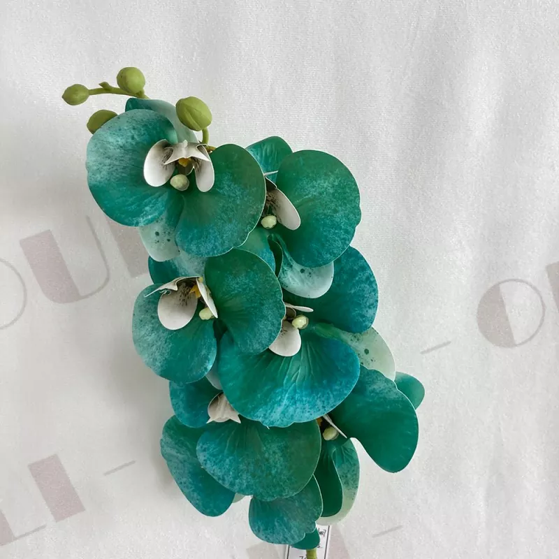 beautiful silk orchid plant
