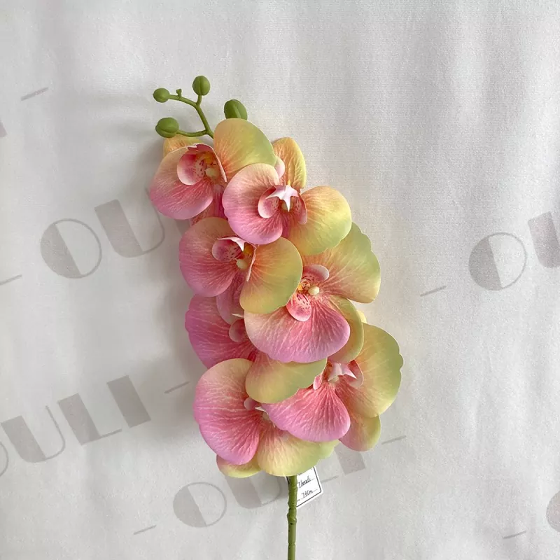 realistic white silk phalaenopsis
